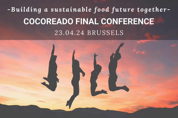 COCOREADO Final Conference